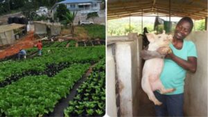 A regional commitment is underway for food security and a sustainable future