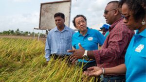 Belize highlights efforts for sustainable agriculture at FAO’sRegional Conference