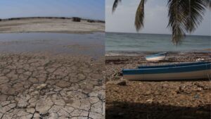 FAO’s launches innovative approach to prioritizing water management investments in Belize