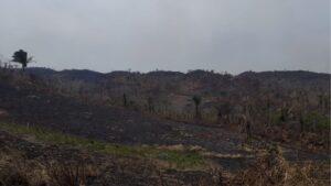 Update on NEMO’s Response to Fires Near San Pedro Columbia