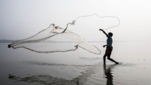 Protecting Biodiversity for a Better Environment