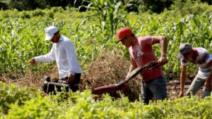Protecting Biodiversity for a Better Environment