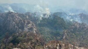 Wildfires Devastate Toledo District
