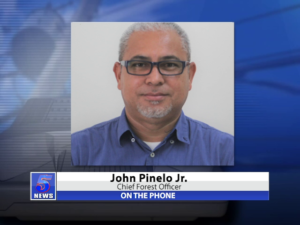 Via phone: John Pinelo Jr