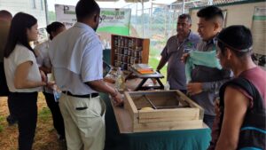 Interview with Hafiz Muminjanov on FAO’s Coconut Initiative in Belize