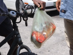 Voice of: Belize City Resident 1