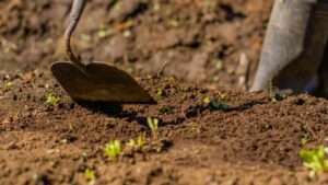 Global Environment Facility to finance projects in 23 Latin American and Caribbean countries