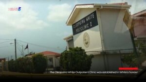 Honouring Cleopatra White: A Legacy of Service and Belize's Trailblazer in Healthcare 