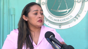Seleny Villanueva Pott
