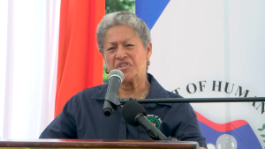 Dolores Balderamos-Garcia